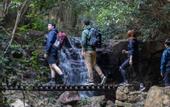 Туры в отель Guangzhou Shijian Xiangjing Qixidi Homestay
