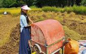 Туры в отель Guangzhou Shijian Xiangjing Qixidi Homestay