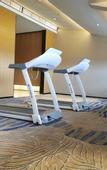 Туры в отель Holiday Inn WUYI MOUNTAIN WATER VILLAGE by IHG