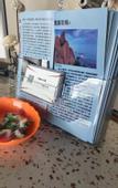 Туры в отель City 118 Hotel (Qingdao Yangkou bathing beach)