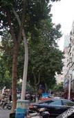 Туры в отель Romantic City Hotel (Zhangzhou Gucheng Branch)