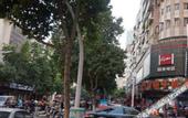 Туры в отель Romantic City Hotel (Zhangzhou Gucheng Branch)