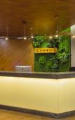 Туры в отель Romantic City Hotel (Zhangzhou Gucheng Branch)