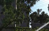 Туры в отель Homeinn Pebble Alley Hotel (Dalian Qianshan Road Subway Station)