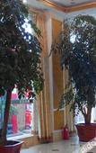 Туры в отель Jinsheng Business Hotel (Nanhu Park, Mengzi Xintiandi Pedestrian Street)