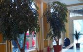 Туры в отель Jinsheng Business Hotel (Nanhu Park, Mengzi Xintiandi Pedestrian Street)