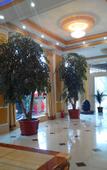 Туры в отель Jinsheng Business Hotel (Nanhu Park, Mengzi Xintiandi Pedestrian Street)