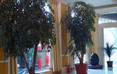 Туры в отель Jinsheng Business Hotel (Nanhu Park, Mengzi Xintiandi Pedestrian Street)