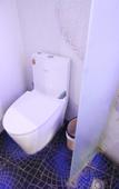 Туры в отель Pebble Motel (Shanghai Pediatric Hospital Lianhua Road Subway Station Branch)