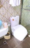 Туры в отель Pebble Motel (Shanghai Pediatric Hospital Lianhua Road Subway Station Branch)