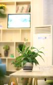 Туры в отель Junyi Chain Hotel (Longsheng Bus Station)
