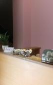 Туры в отель Clouds  hotel