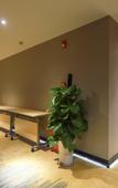Туры в отель Infil Hotel (Huizhou Huicheng District Henan Shore Ganghui Shopping Center)