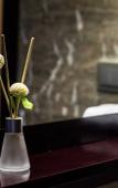 Туры в отель Chengdu Jingsheng Hotel (Sichuan Tourism College)