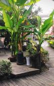 Туры в отель Homeinn Pebble Hotel (Shengzhou Shengzhou Avenue Kaiyuan Plaza)
