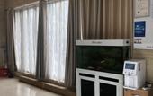 Туры в отель Elan Hotel(Siyang Columbus square)