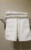 Туры в отель Carlton Hotel (Foshan Taigang City)