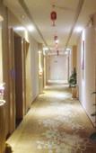 Туры в отель Carlton Hotel (Foshan Taigang City)