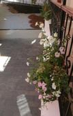 Туры в отель Fengyue Boutique Hotel