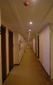 Туры в отель Super 8 Hotel (Lanzhou Xiguan Cross Zhongshan Bridge)