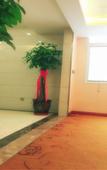Туры в отель Super 8 Hotel (Lanzhou Xiguan Cross Zhongshan Bridge)