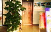 Туры в отель City 118 Hotel Chain (Qingdao Middle Road Railway Station)