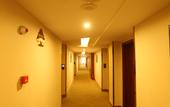 Туры в отель Greentree Inn Express Hotel Corning Street Subway Station Branch