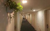 Туры в отель VANFEEL  HOTEL