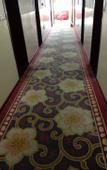 Туры в отель VX Hotel (Xinghua Darunfa)