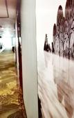 Туры в отель GreenTree Alliance Hotel (Changzhou Jintan Bus Terminal East Gate Avenue)
