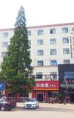 Туры в отель Ningbo Hongyi Business Hotel