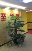Туры в отель Tangxia Aosha Business Hotel