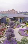 Туры в отель Longji Garden Hotel (Kunming College Store)