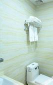 Туры в отель Dream Love Theme Hotel (Shenzhen Shekou)