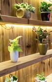 Туры в отель Dalian Sunshine Garden Hotel