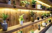 Туры в отель Dalian Sunshine Garden Hotel