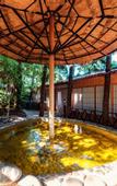 Туры в отель Yuntao Hotel