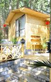 Туры в отель Yuntao Hotel