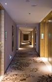 Туры в отель Kailin International Hotel (Shenzhen Guangming Street subway station)