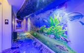 Туры в отель Xi'an Haoting Hotel