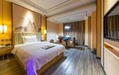 Туры в отель Xi'an Haoting Hotel