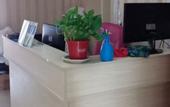 Туры в отель Zhengzhou Jiuyang Hotel (CBD Convention and Exhibition Center)