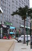 Туры в отель Dandelion Hotel (Harbin Haxi Station Wanda Plaza)