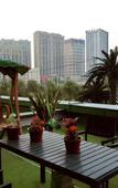 Туры в отель Dandelion Hotel (Harbin Haxi Station Wanda Plaza)