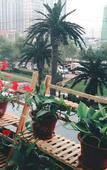Туры в отель Dandelion Hotel (Harbin Haxi Station Wanda Plaza)