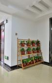 Туры в отель Dandelion Hotel (Harbin Haxi Station Wanda Plaza)