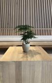 Туры в отель Yika Hotel (Foshan Chancheng Zumiao Branch)