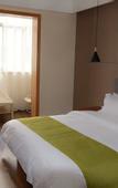 Туры в отель Baifurui Holiday Hotel (Xi'an Linyi Terracotta Warriors and Horses)