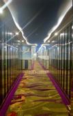 Туры в отель Xixiang Boutique Hotel (Shanghai Pediatric Hospital Affiliated to Fudan University)