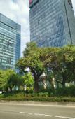 Туры в отель Fengyuanju Business Hotel